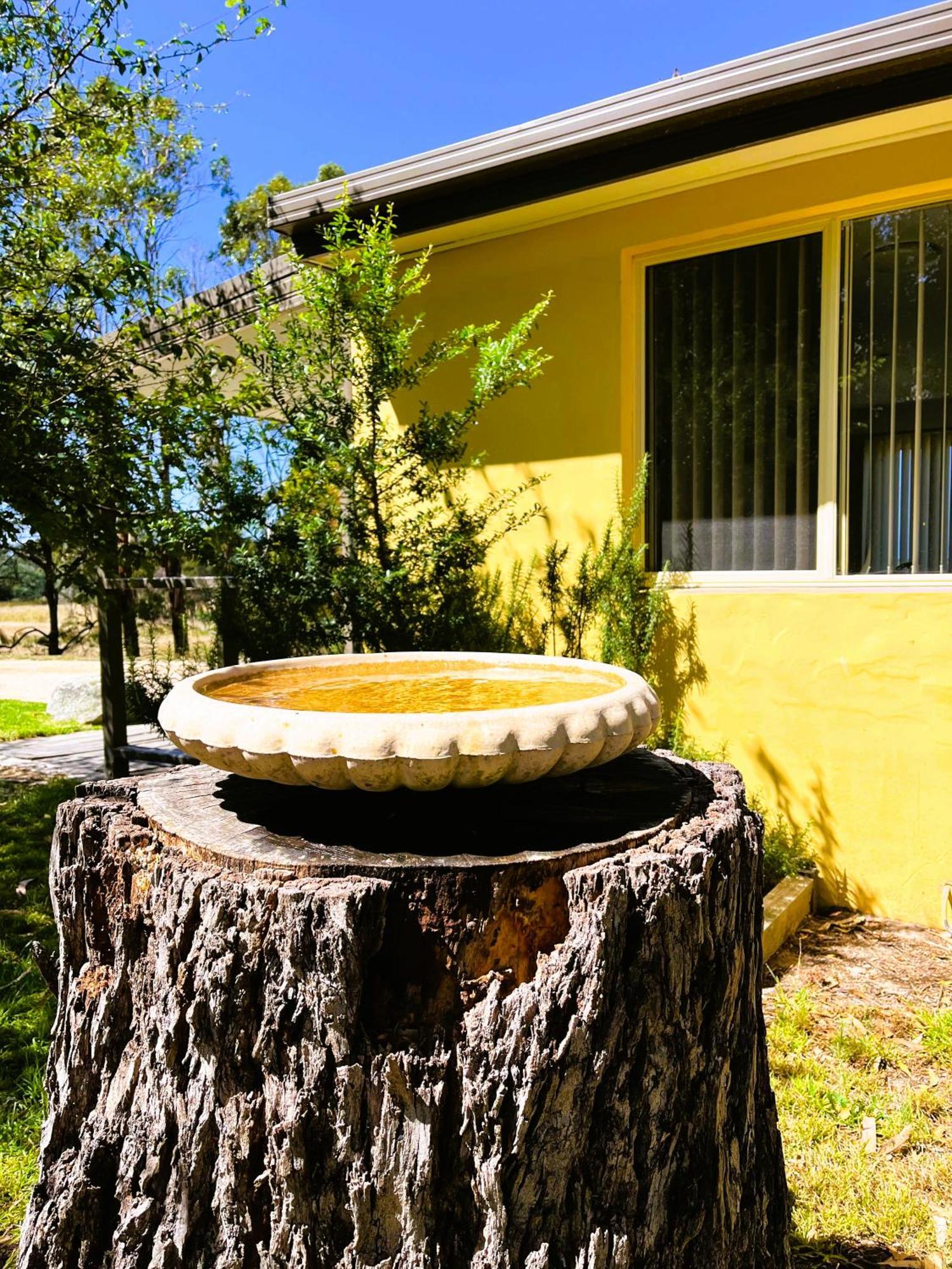 Pelican Point Sanctuary セントへレンズ 部屋 写真