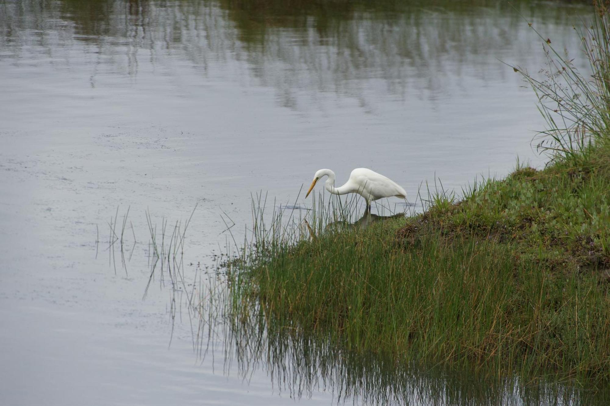 Pelican Point Sanctuary セントへレンズ エクステリア 写真