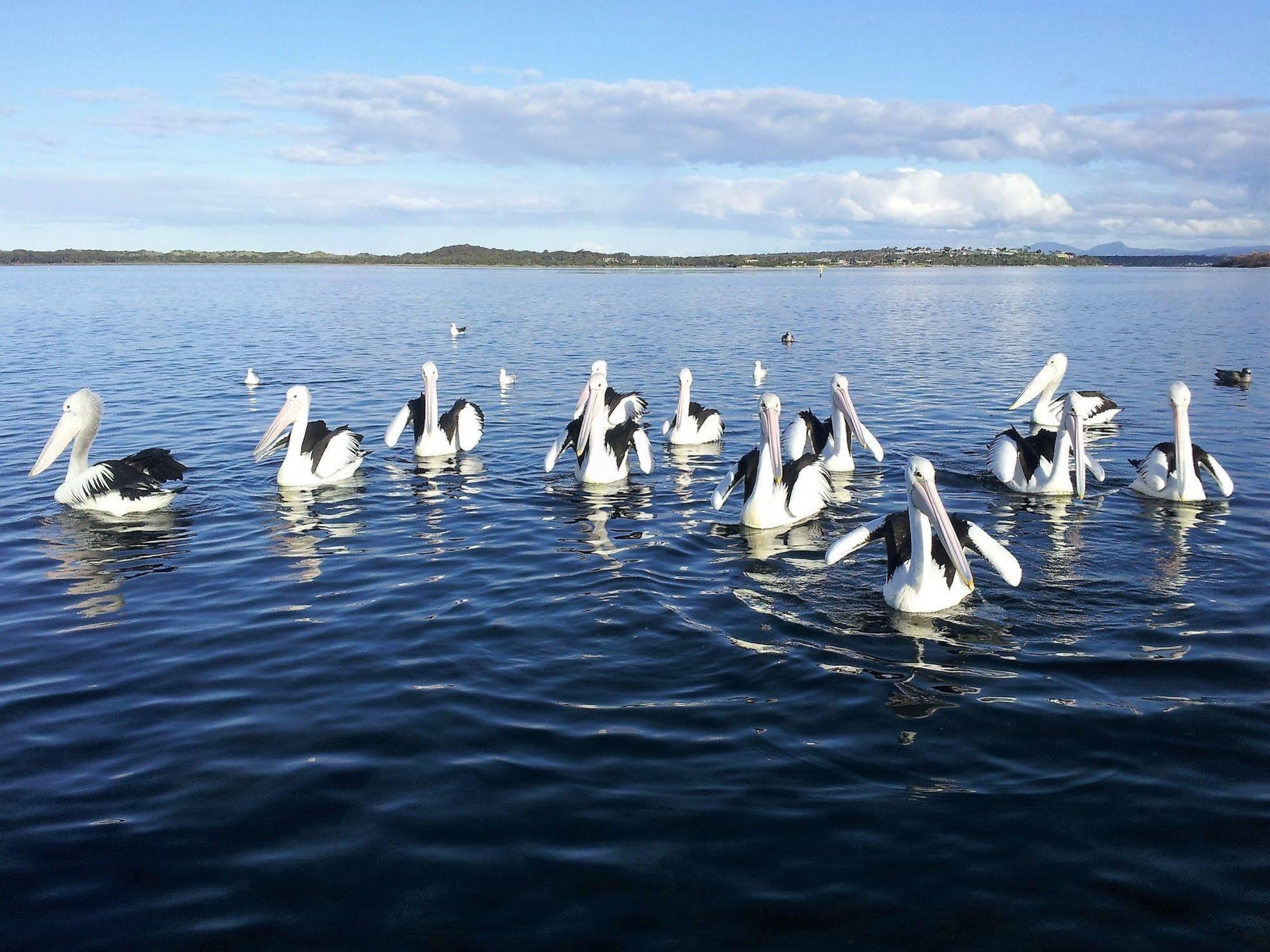 Pelican Point Sanctuary セントへレンズ エクステリア 写真